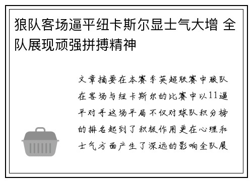 狼队客场逼平纽卡斯尔显士气大增 全队展现顽强拼搏精神
