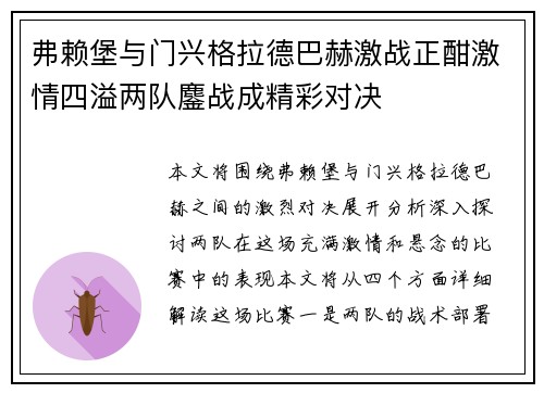 弗赖堡与门兴格拉德巴赫激战正酣激情四溢两队鏖战成精彩对决