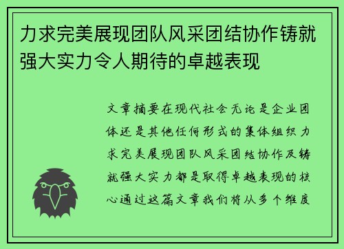 力求完美展现团队风采团结协作铸就强大实力令人期待的卓越表现