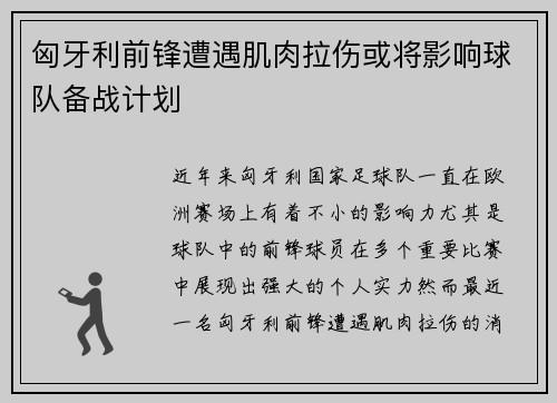 匈牙利前锋遭遇肌肉拉伤或将影响球队备战计划